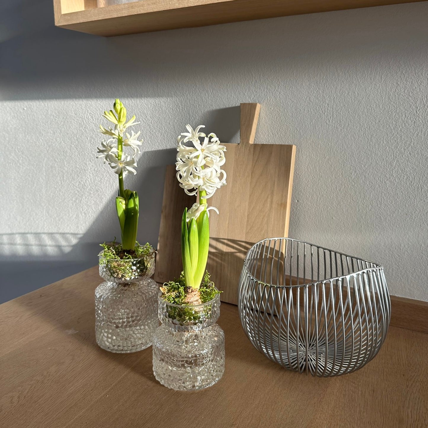 Amaryllis- & Hyazinthenvase im nordischen Stil