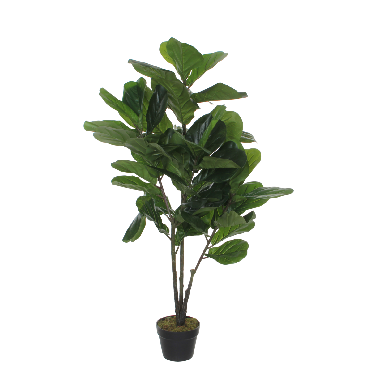 Kunstpflanze Ficus Lyrata - H120 x Ø60 cm - Grün