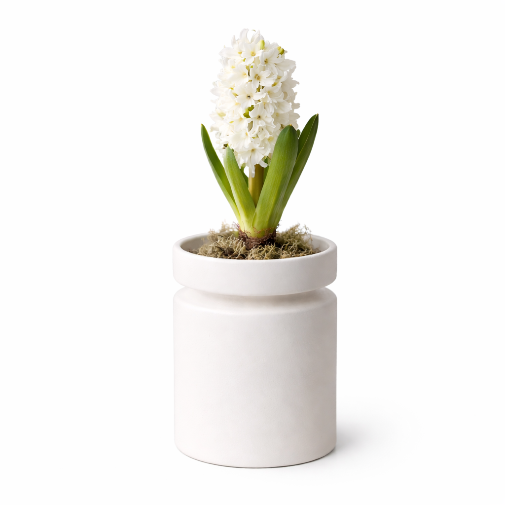 Ania Duo Vase & Kerzenhalter