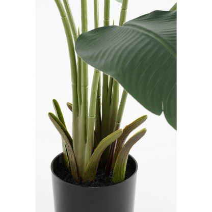 Künstliche Strelitzia im Topf – H180 x Ø30 cm – Grün