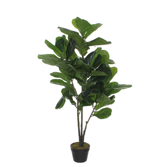 Kunstpflanze Ficus Lyrata - H120 x Ø60 cm - Grün